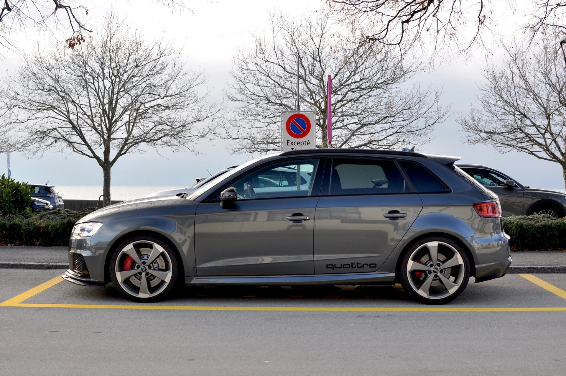 AUDI RS3 2.5 TSI quattro S-tronic