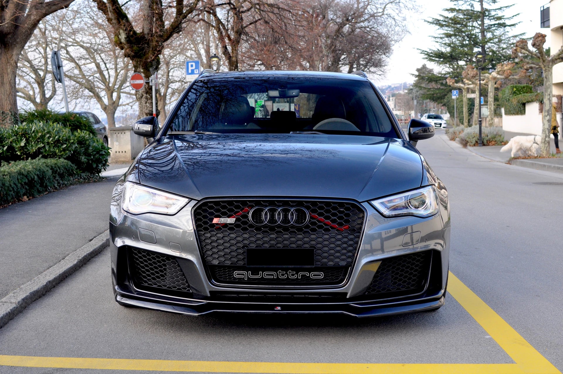 AUDI RS3 2.5 TSI quattro S-tronic